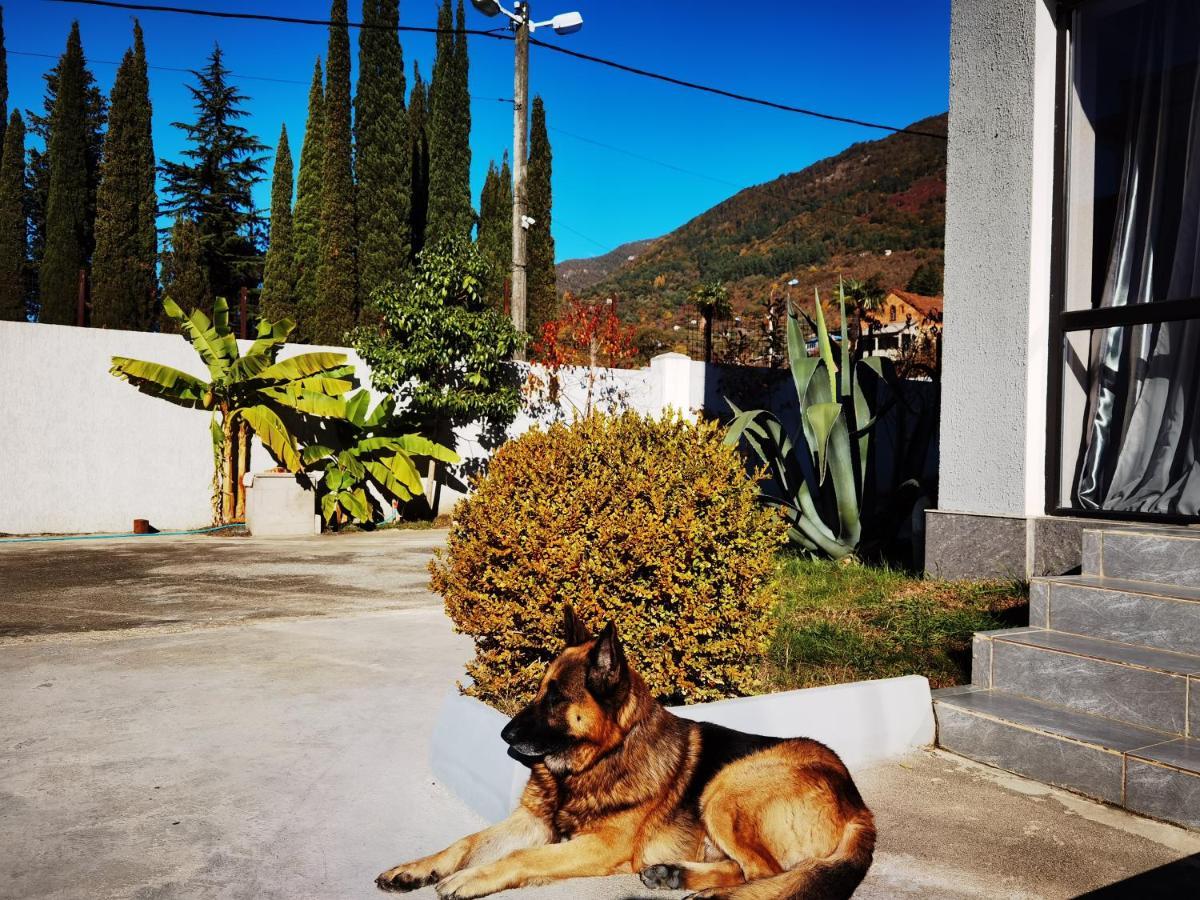 Gega Hotel Gagra Exterior foto